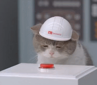 A cat in a hardhat pushing a large red button