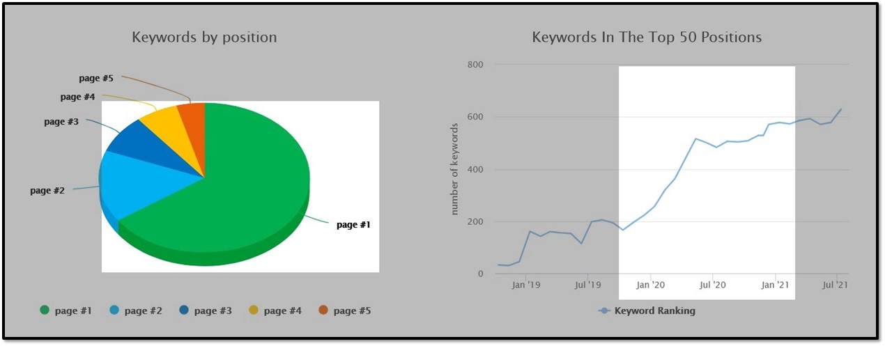 Two graphs showing keyword rankings. On the left, a pie chart of "Keywords by position," showing two thirds of keywords on Page #1. On the right, a line graph, "Keywords in the Top 50 Positions" over time, with an increase from approximately 200 to 600 in the year 2020.