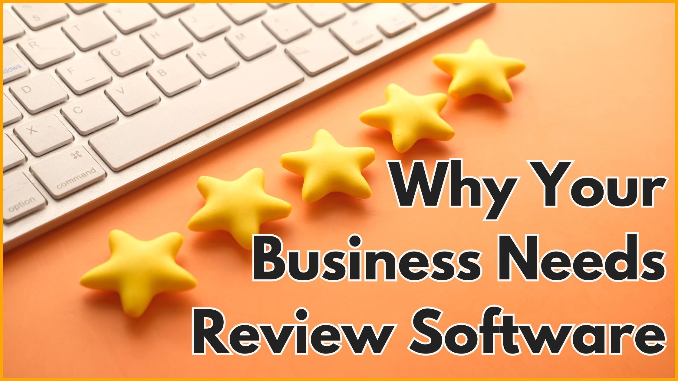 Why Your Business Needs Review Software